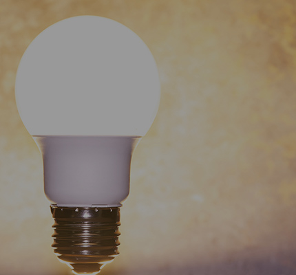 美しい自然環境を残すために